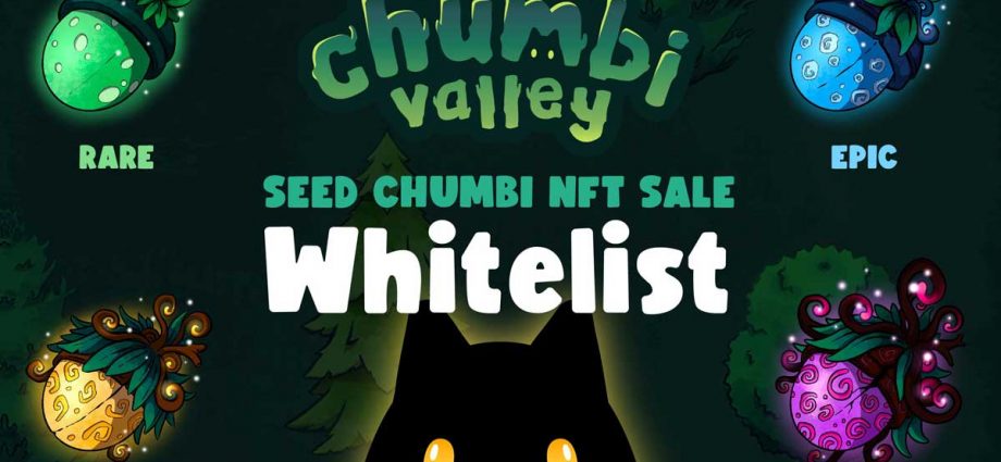 Chumbi Valley RPG Play-to-Earn build on BSC and Polygon chain $CHMB token